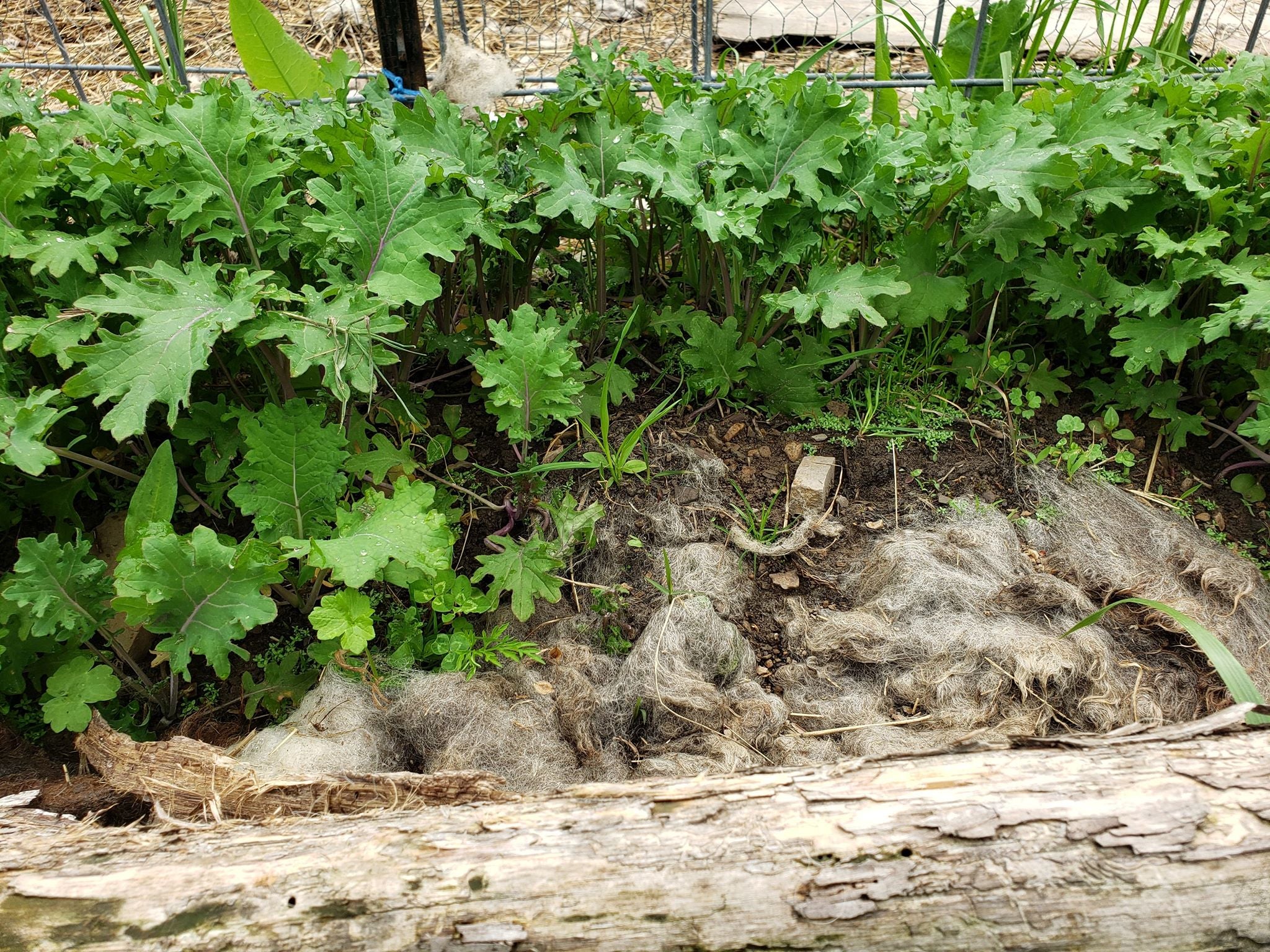 Creative Mulching for Spring Gardens Arkansas State Parks